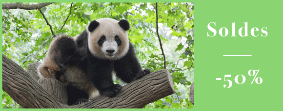 Peluche panda geant - Cdiscount